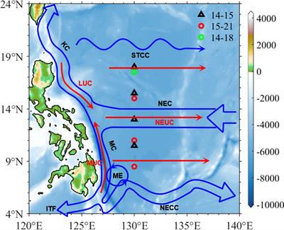 Interannual variations of the North Equatorial Current/Undercurrent from mooring array observations